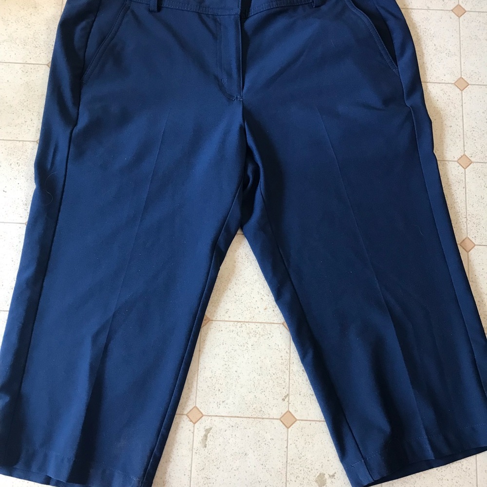 Navy Capris - image 1